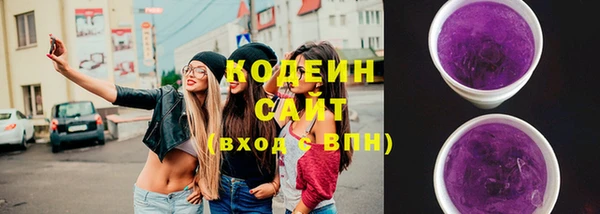 spice Гусев