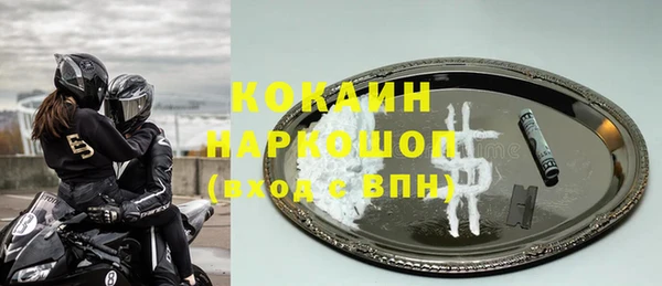 spice Гусев