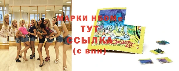 spice Гусев