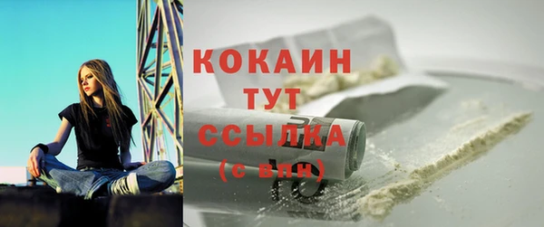spice Гусев