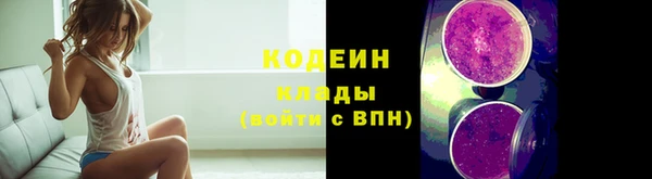 гашик Гусиноозёрск