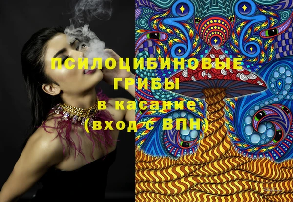 spice Гусев