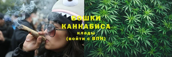 гашик Гусиноозёрск