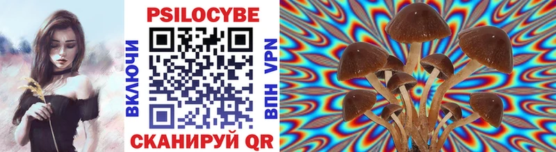 ссылка на мегу ссылка  Острогожск  Псилоцибиновые грибы Cubensis 