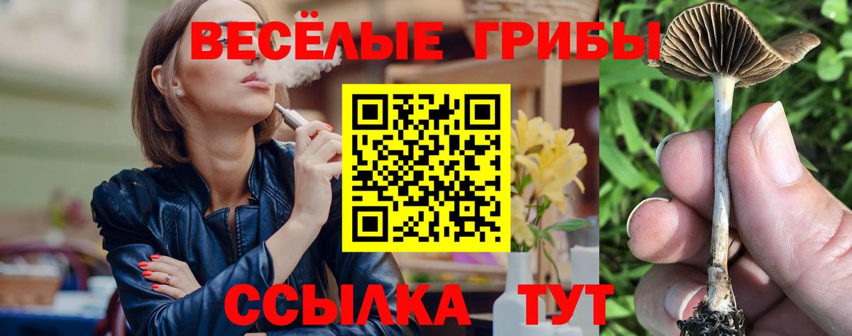 Псилоцибиновые грибы мухоморы  Острогожск 